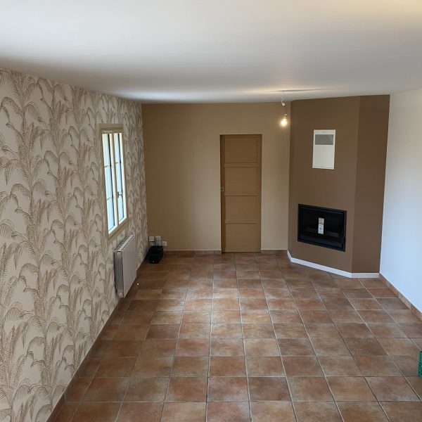 APRES - Renovation salon et pose d'un insert